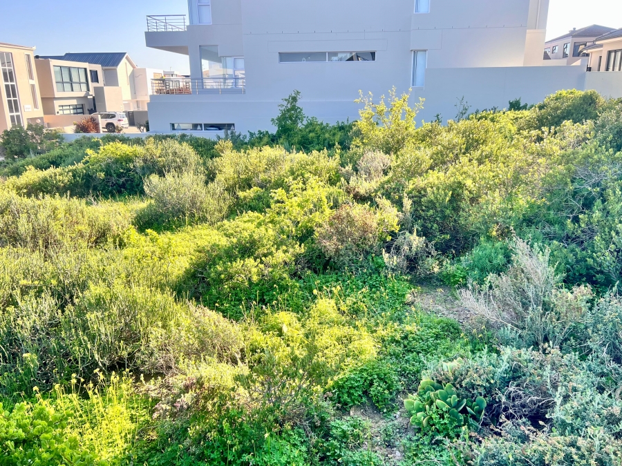 0 Bedroom Property for Sale in Calypso Beach Western Cape